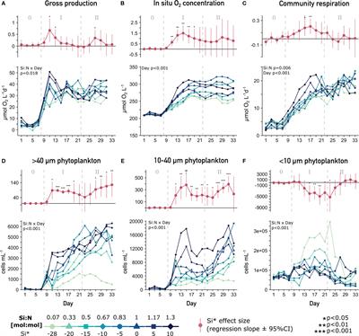 Phytoplankton physiology and functional traits under artificial upwelling with varying Si:N